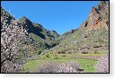 gran canaria spanje Degollada de las Yeguas eiland canarische Eilanden las palmas maspalomas puerto de mogan strand Fuente de Los Azulejos Aguimes la Aldea las nieves tenerife teror